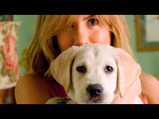 marley and me (2008) - trailer in russian