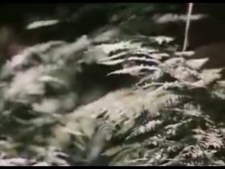 song about love (from the film midshipmen, forward)
